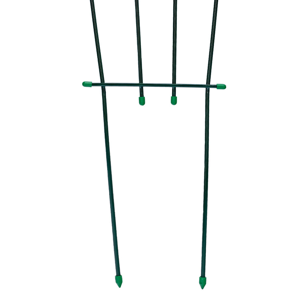 Шпалера «Веер» 0.5/0.9 х 2 м